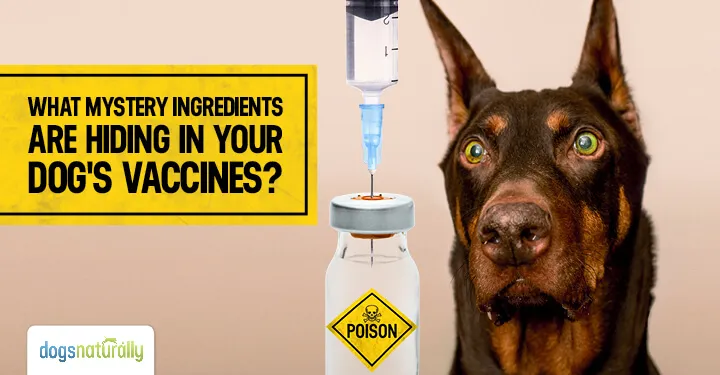 Illustration of vaccine ingredients